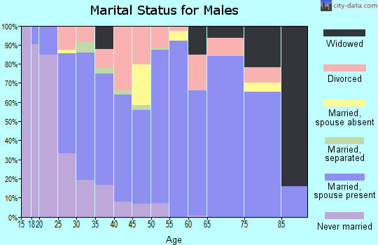 Zip code 29691 marital status for males