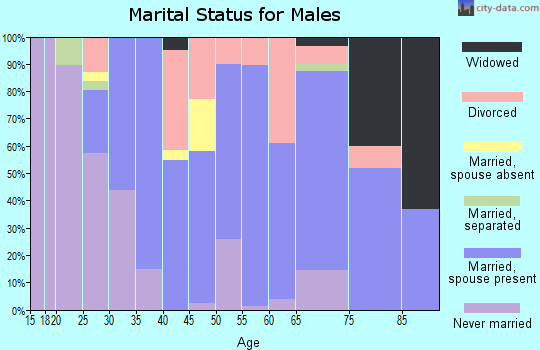 Zip code 29692 marital status for males
