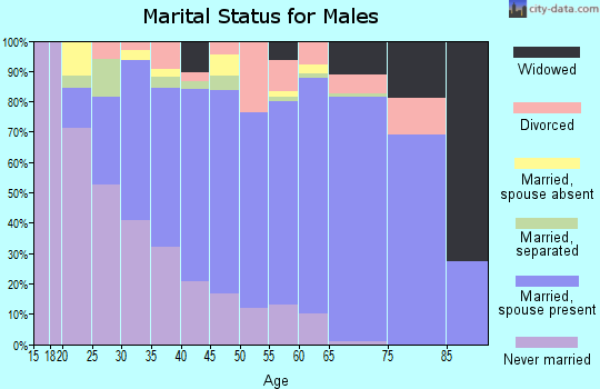 Zip code 29693 marital status for males