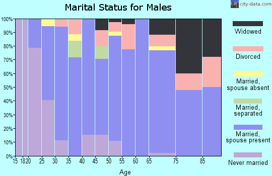 Zip code 29697 marital status for males