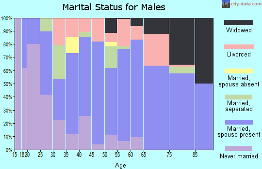 Zip code 29702 marital status for males