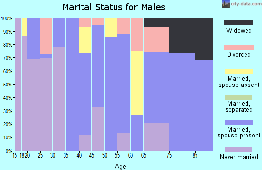 Zip code 29704 marital status for males