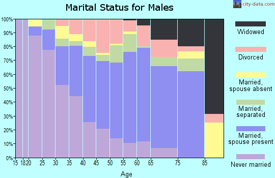 Zip code 29706 marital status for males