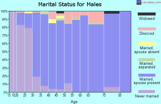 Zip code 29708 marital status for males
