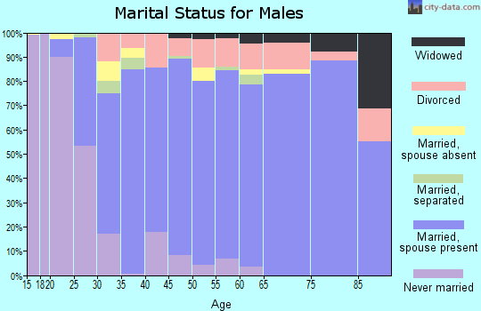 Zip code 29710 marital status for males
