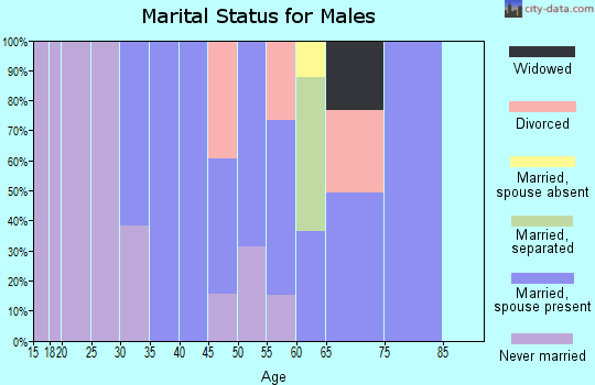Zip code 29712 marital status for males