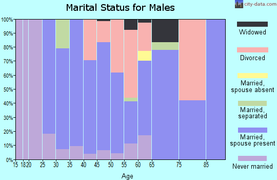 Zip code 29714 marital status for males
