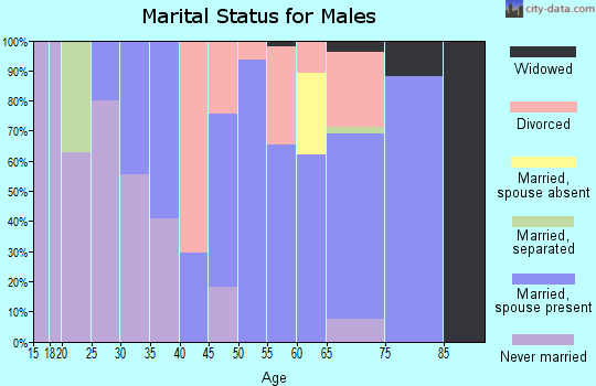 Zip code 29717 marital status for males