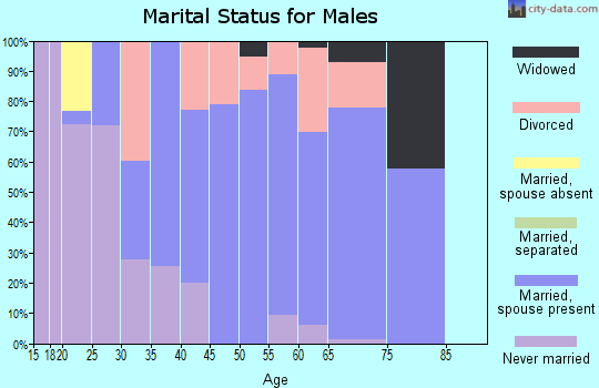 Zip code 29718 marital status for males