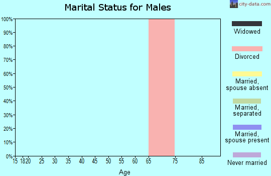 Zip code 29724 marital status for males