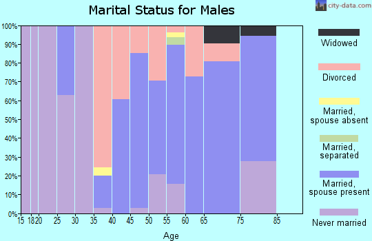 Zip code 29726 marital status for males