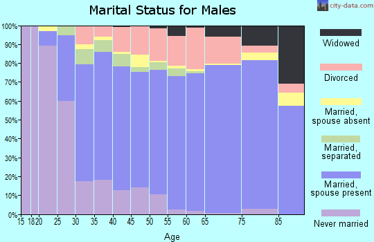 Zip code 29732 marital status for males