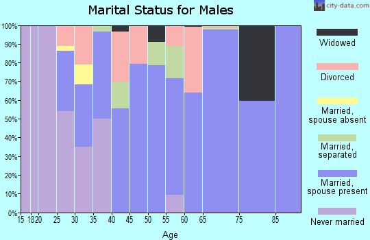 Zip code 29742 marital status for males