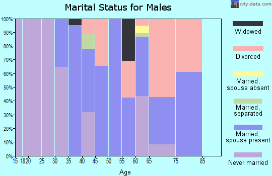 Zip code 29743 marital status for males