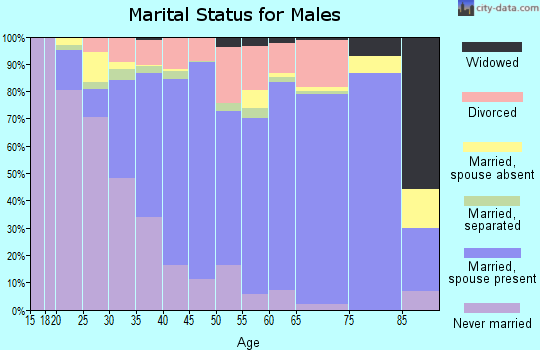 Zip code 29745 marital status for males