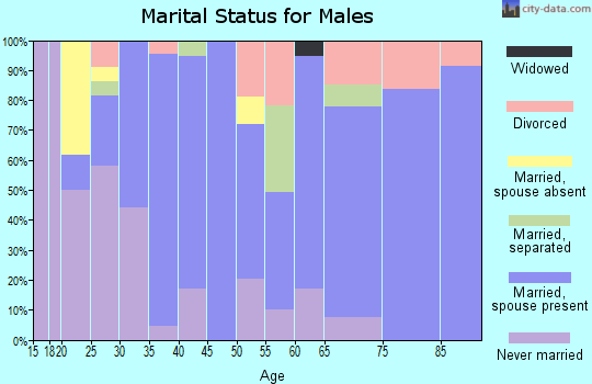 Zip code 29805 marital status for males