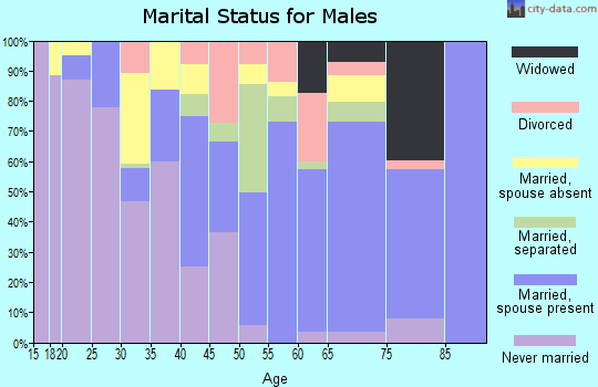 Zip code 29817 marital status for males