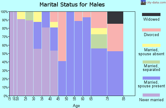 Zip code 29819 marital status for males
