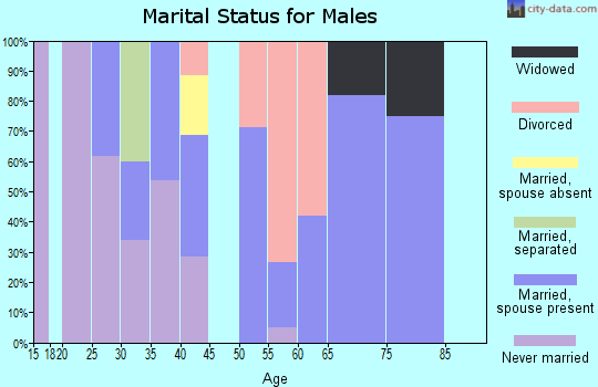 Zip code 29821 marital status for males