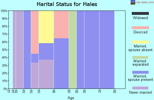 Zip code 29822 marital status for males