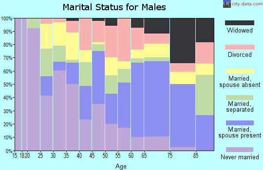 Zip code 29824 marital status for males