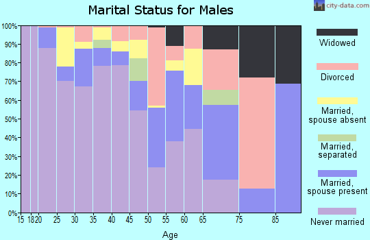 Zip code 29827 marital status for males