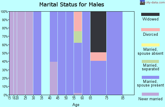Zip code 29828 marital status for males