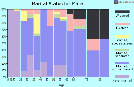 Zip code 29829 marital status for males