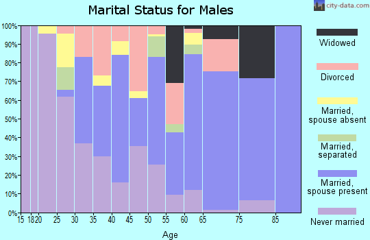 Zip code 29832 marital status for males