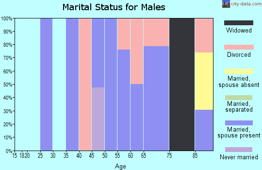 Zip code 29838 marital status for males