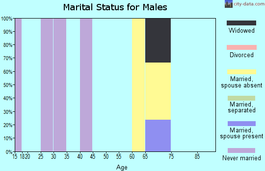 Zip code 29840 marital status for males