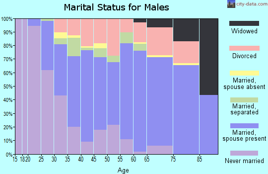 Zip code 29841 marital status for males