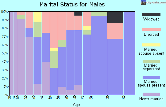 Zip code 29842 marital status for males