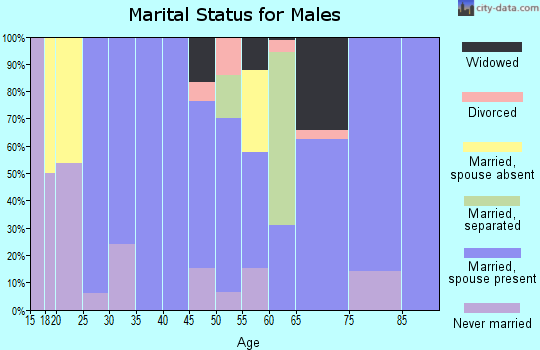 Zip code 29843 marital status for males