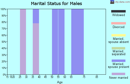 Zip code 29844 marital status for males