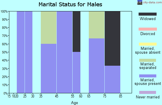 Zip code 29846 marital status for males