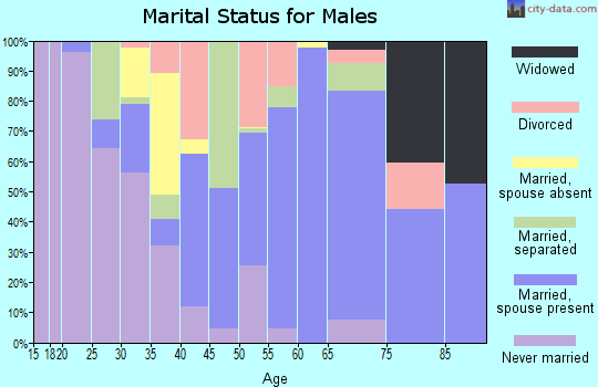 Zip code 29847 marital status for males