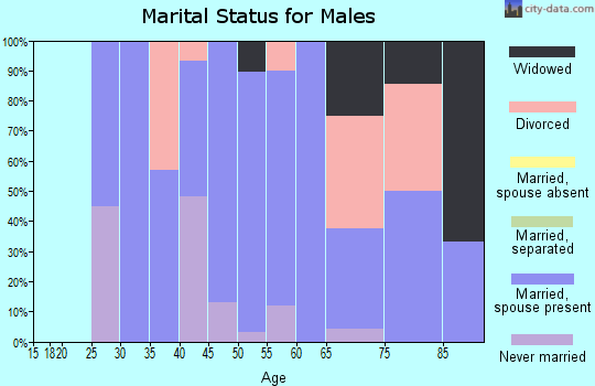 Zip code 29848 marital status for males