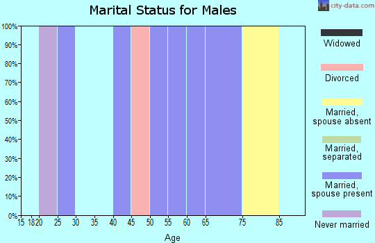Zip code 29849 marital status for males