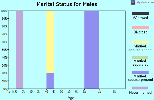 Zip code 29850 marital status for males