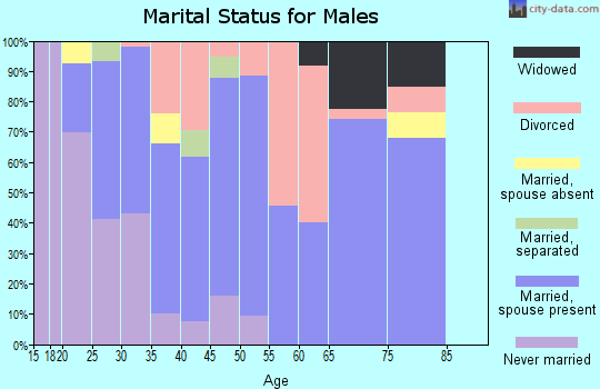 Zip code 29851 marital status for males