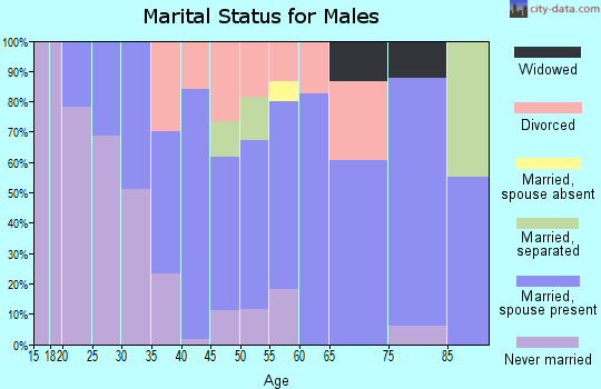 Zip code 29853 marital status for males