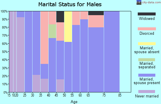 Zip code 29856 marital status for males