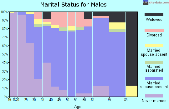 Zip code 29860 marital status for males