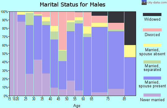 Zip code 29902 marital status for males