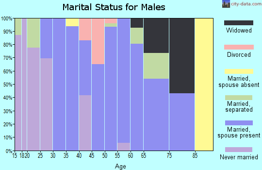 Zip code 29911 marital status for males