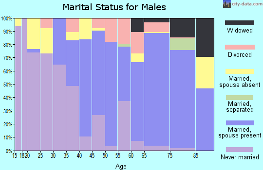 Zip code 29920 marital status for males