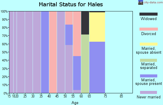 Zip code 29923 marital status for males