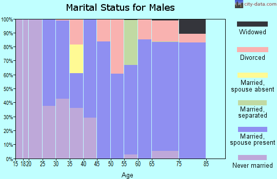 Zip code 29924 marital status for males