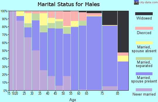 Zip code 29926 marital status for males